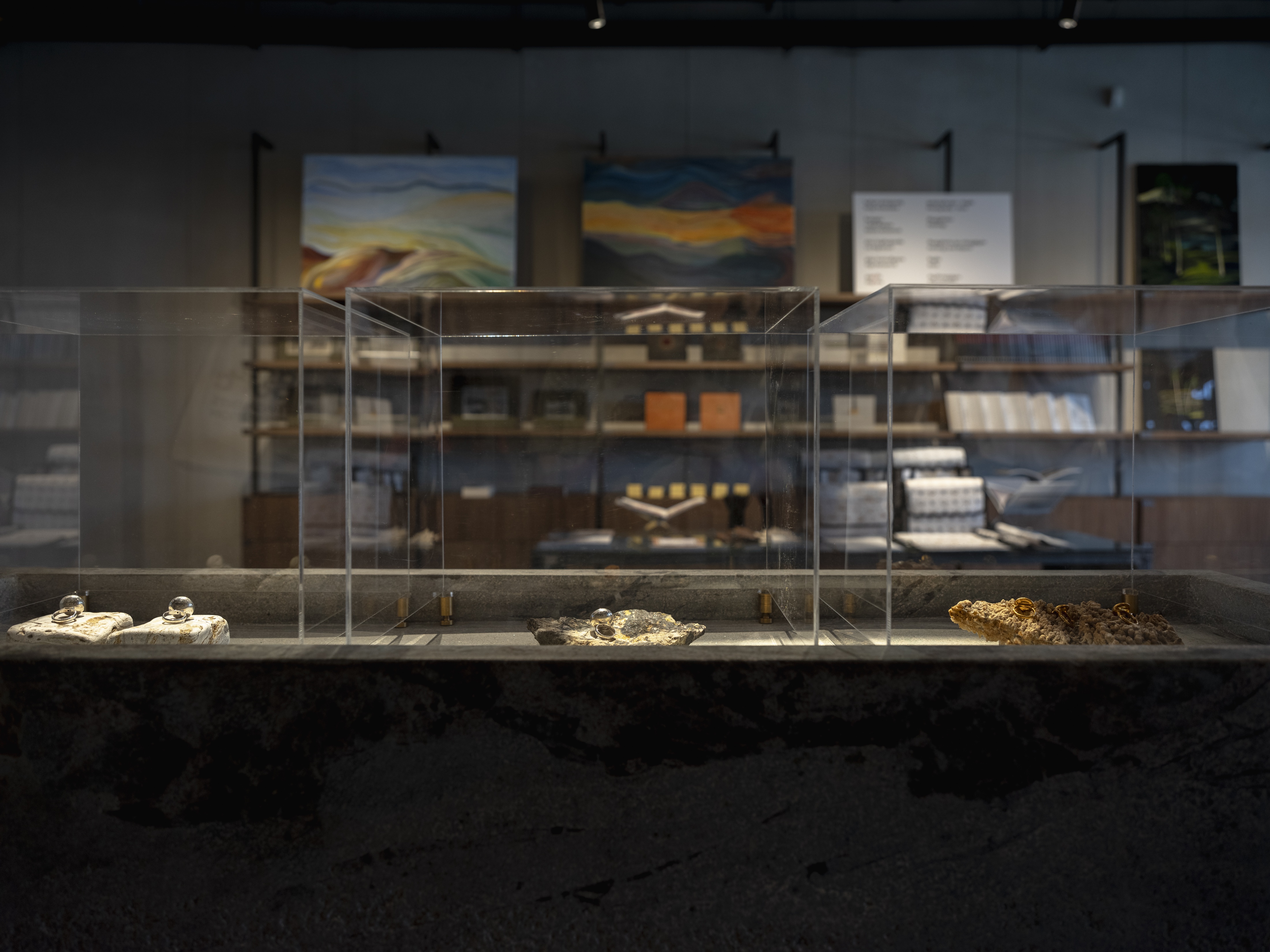 The Art Concept Gallery — historical installation view 4